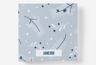 Álbum de Janeiro intro